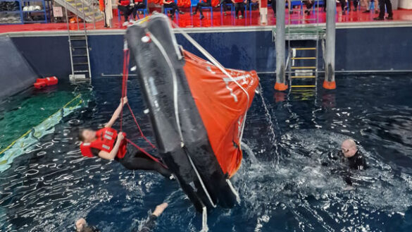 Vital Experiences Help Shape Learning - 414579