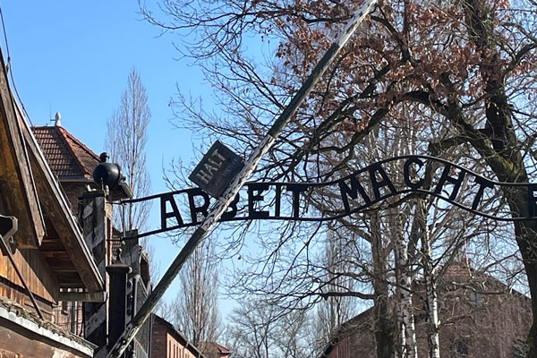 Letters From Auschwitz 