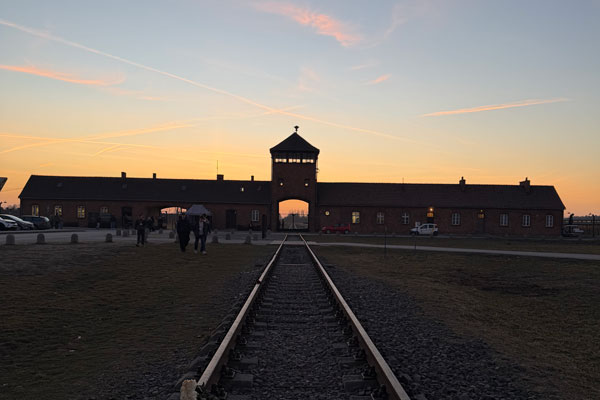 Letters From Auschwitz 