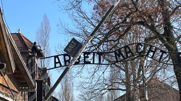 Letters From Auschwitz - 415283