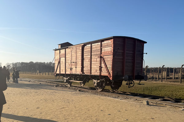 Letters From Auschwitz 